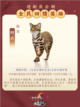 天龙八部私服倾国